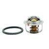 FISPA 94.546 Thermostat, coolant